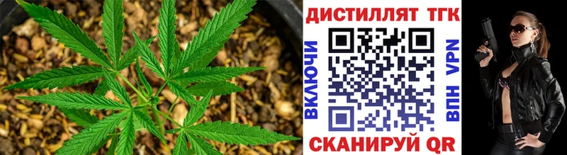 Дистиллят ТГК гашишное масло  купить наркотики сайты  Луза 
